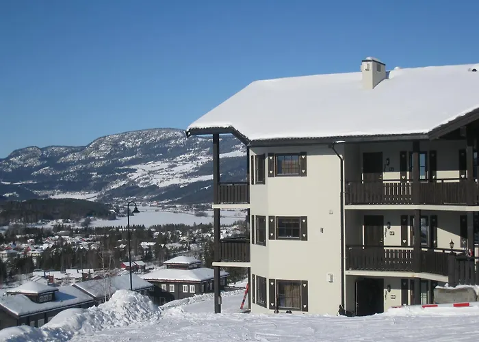 Appart hôtel Alpin Sorlia