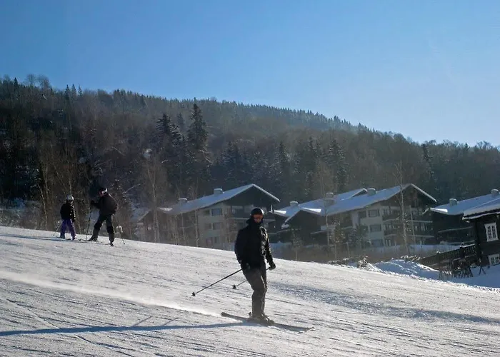 Alpin Sorlia Appart hôtel 3*