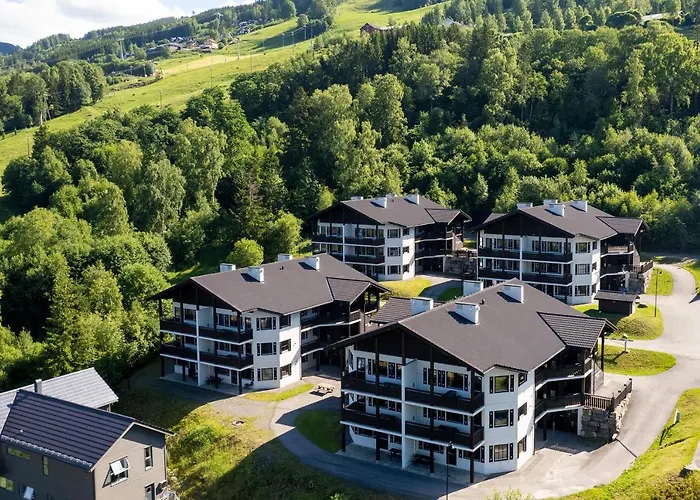 Aparthotel Alpin Sorlia