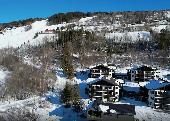 Aparthotel Alpin Sorlia 3*